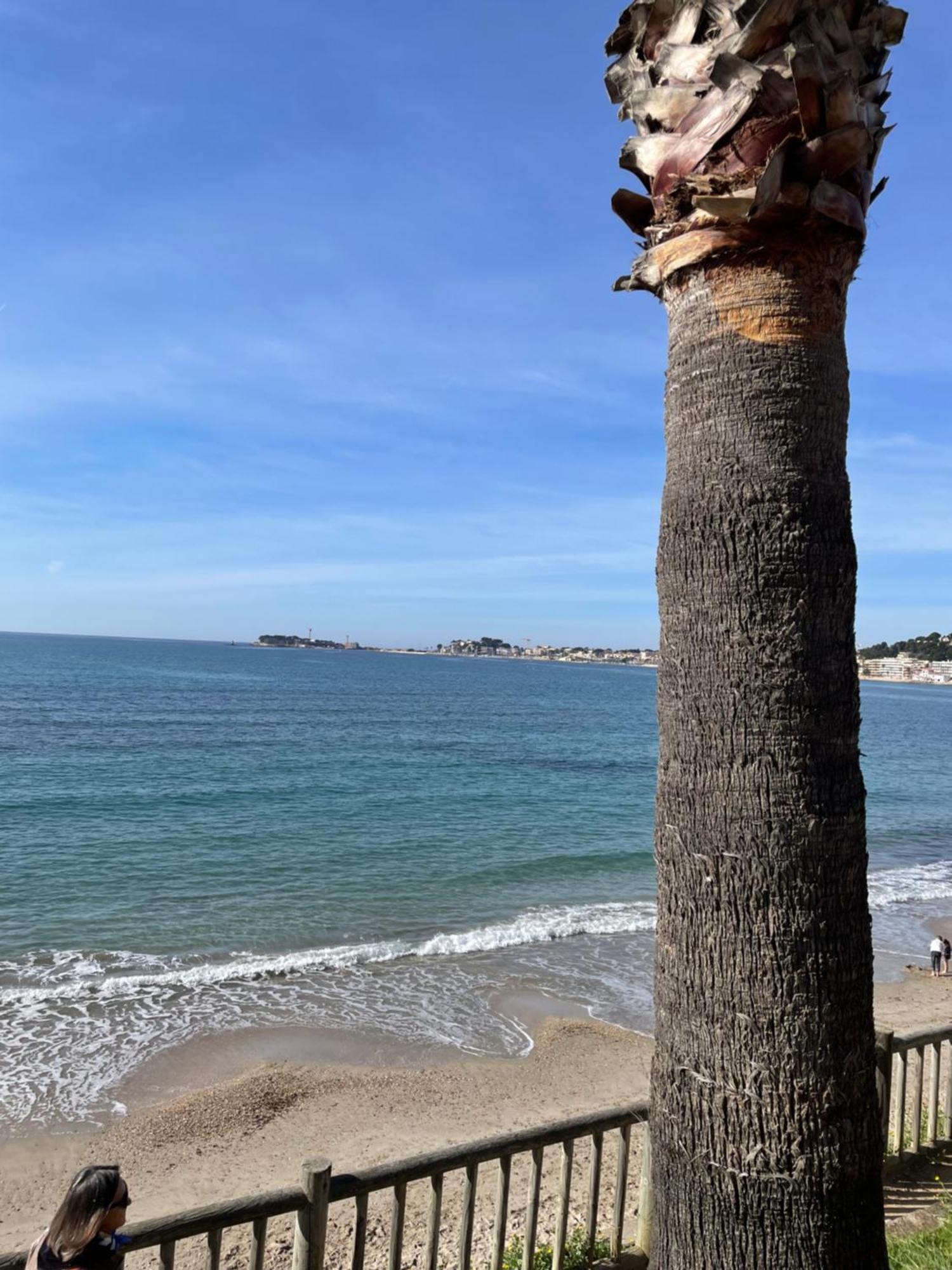 Studio Climatise Piscine Et Proche Plage Sanary-sur-Mer Exteriér fotografie